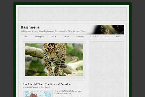 Site using Ari-fancy-lightbox plugin