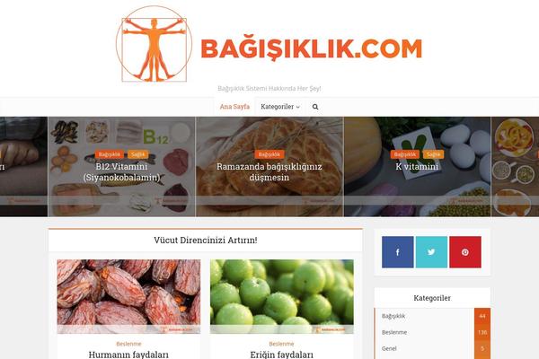 Voice theme site design template sample