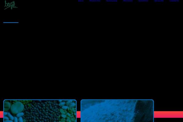 Avada theme site design template sample