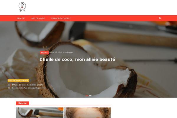 NewsMag theme site design template sample