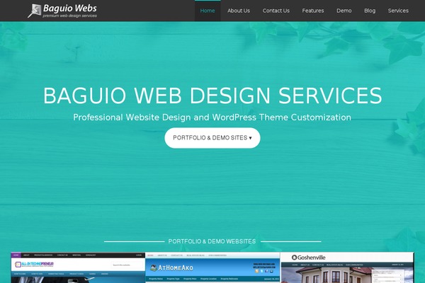 Agency Pro theme site design template sample