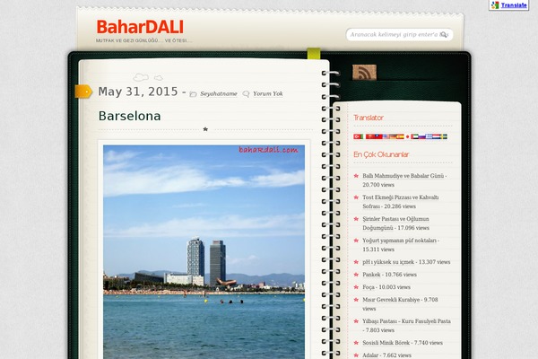Diary theme site design template sample