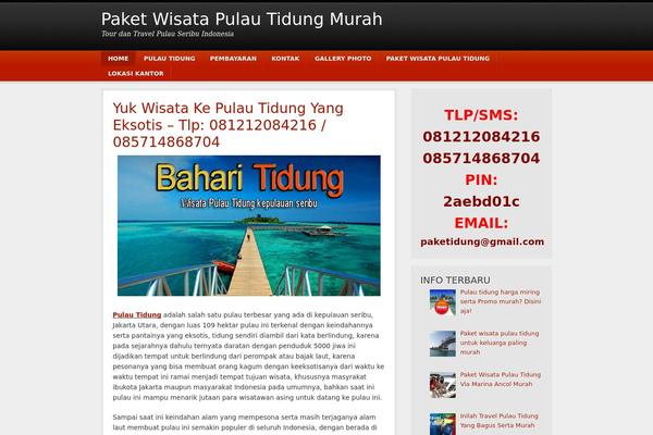 Copyblogger theme site design template sample