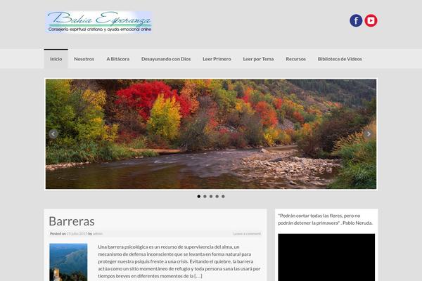Coller theme site design template sample