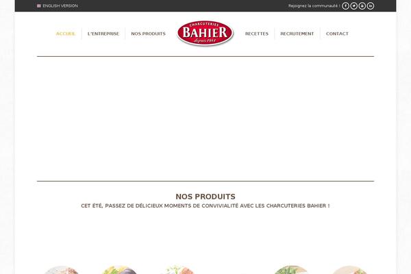 Site using Dzs-videogallery plugin