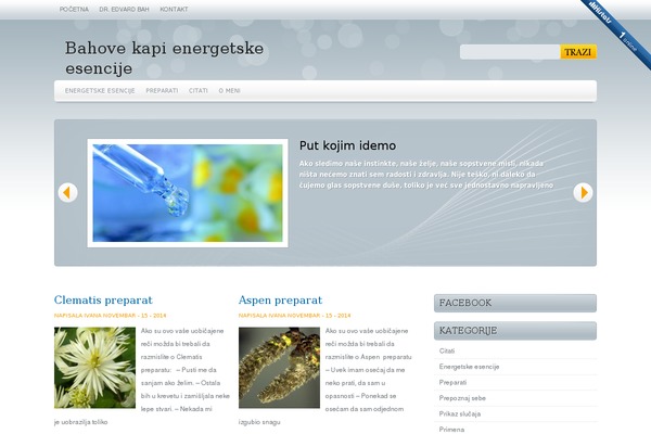 Marina theme site design template sample