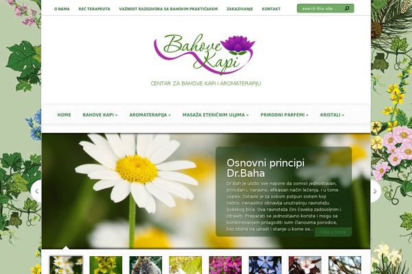 Aggregate theme site design template sample