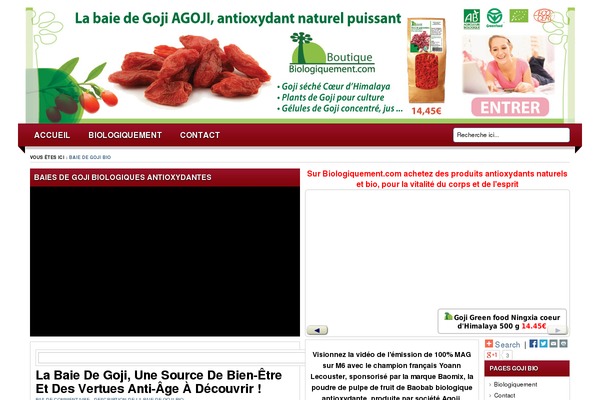 Lugada theme site design template sample