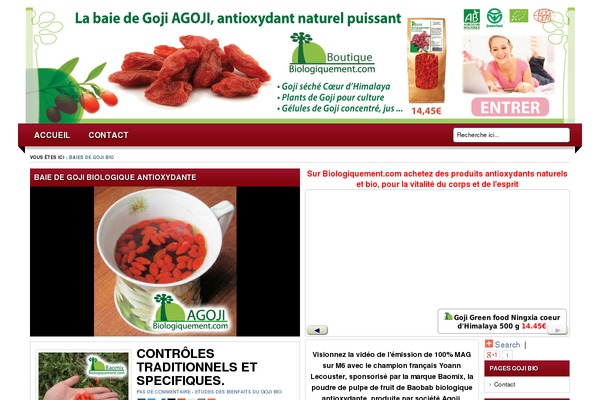 Lugada theme site design template sample