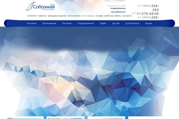 Site using Button-visually-impaired plugin