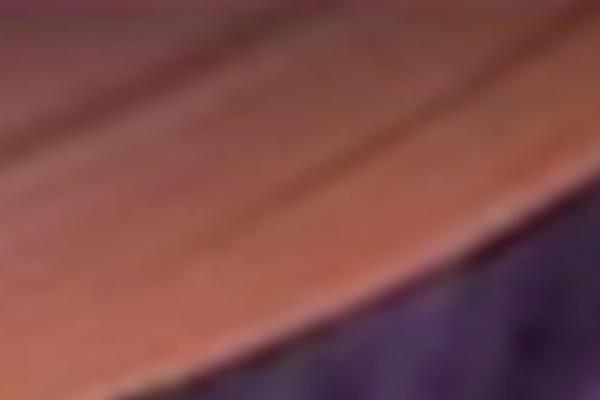 Site using qTranslate plugin