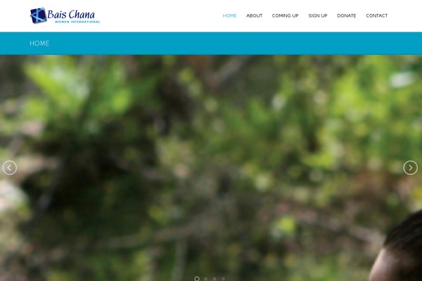 Mineral theme site design template sample