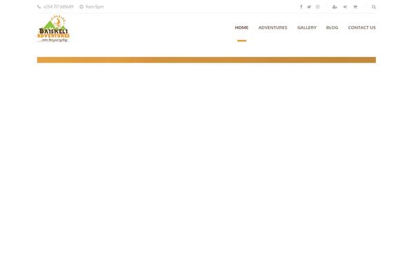 Site using Skaut-google-drive-gallery plugin