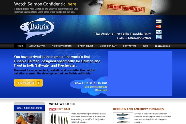 Thesis theme site design template sample