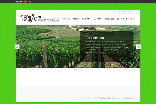 Chameleon theme site design template sample