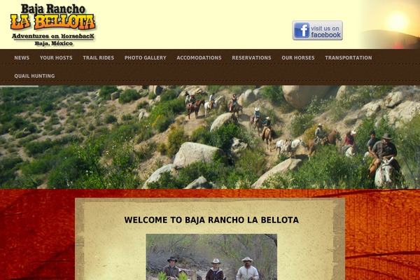 WP Advocate theme site design template sample