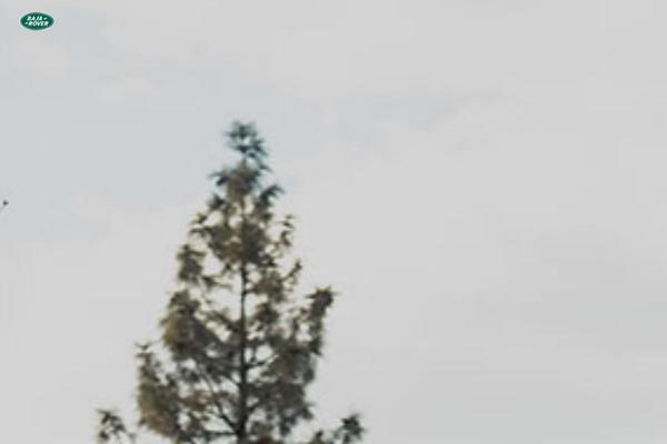 Roam theme site design template sample