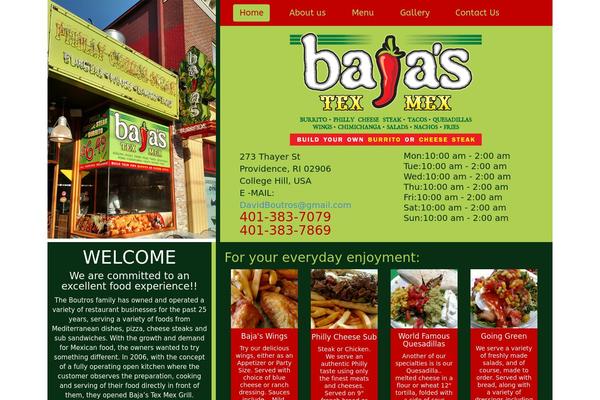 Flat Theme theme site design template sample
