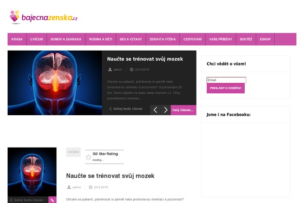 Magnovus theme site design template sample
