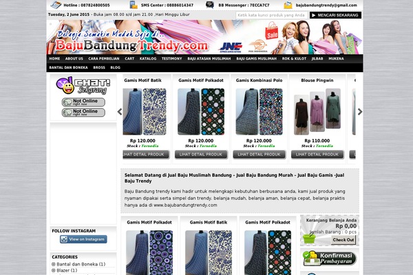 Indostore4 theme site design template sample