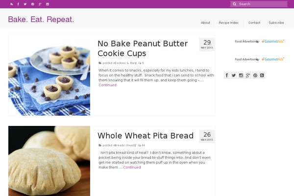 Site using Mediavine-trellis-images plugin