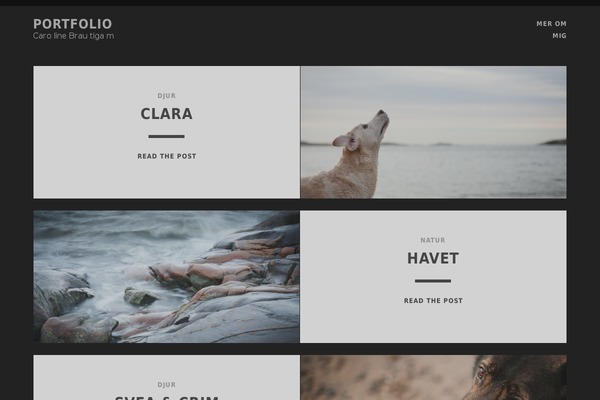 Site using Gabfire Widget Pack plugin