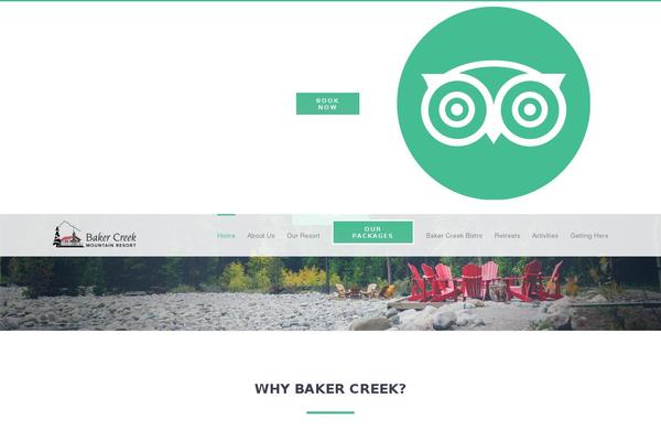 Avada Child Theme theme site design template sample