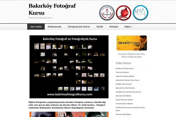 Mosaic theme site design template sample
