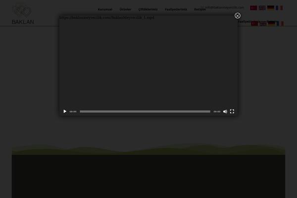 Xtra theme site design template sample