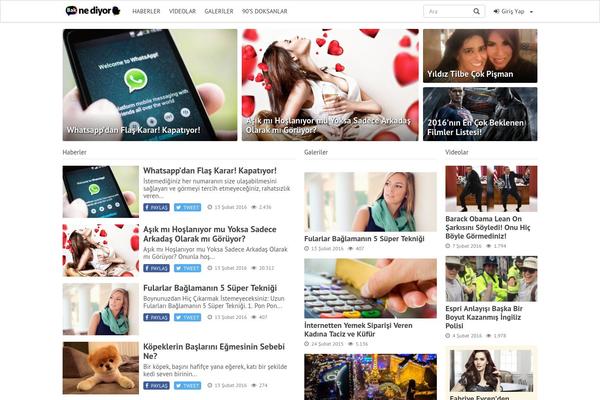 iMagazine theme site design template sample