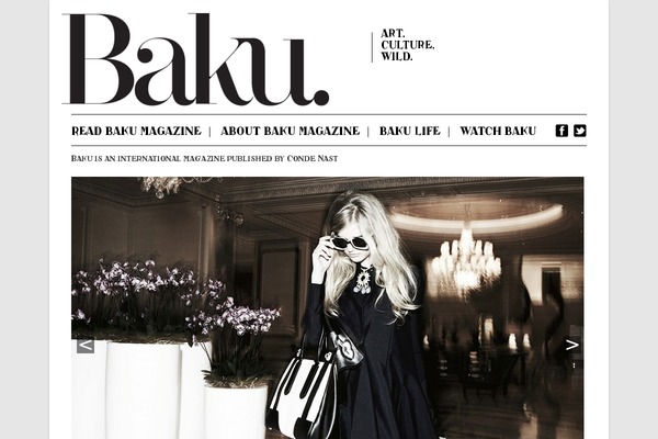 baku theme websites examples