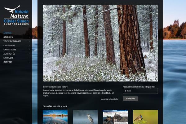 Gt3-wp-diamond theme site design template sample