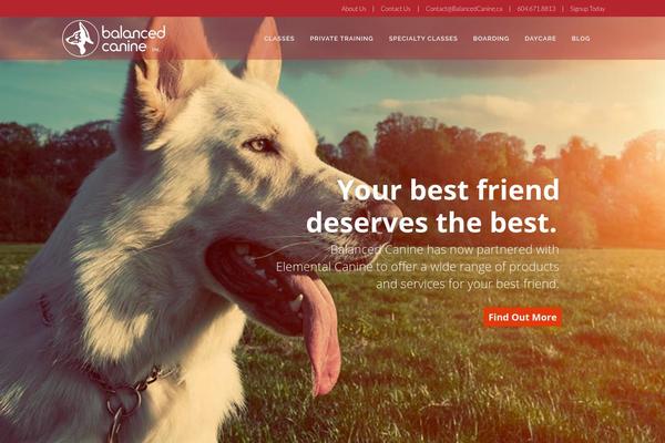 Retigo theme site design template sample