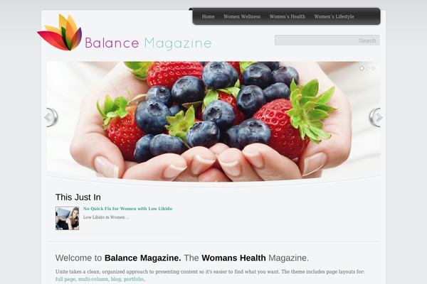 Unite theme site design template sample