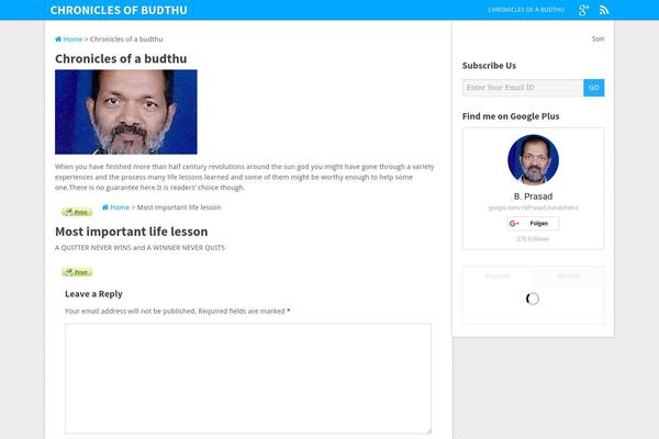 Pinstagram theme site design template sample