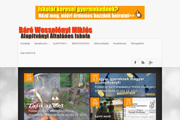 Nexus theme site design template sample