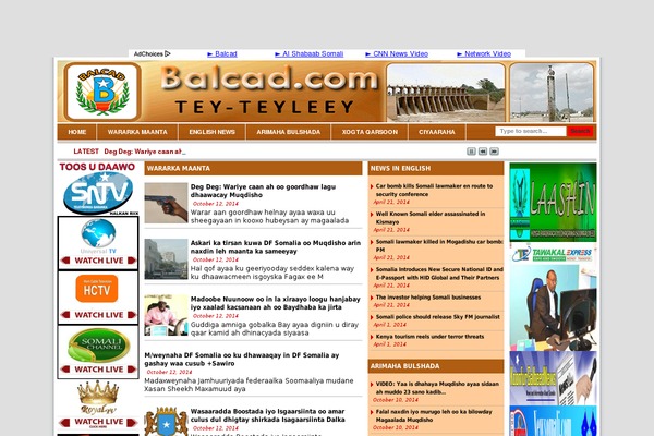 Color Magazine theme site design template sample