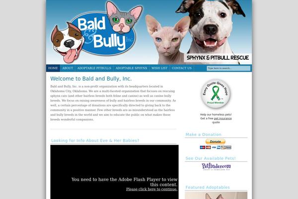 Headway-2011 theme site design template sample