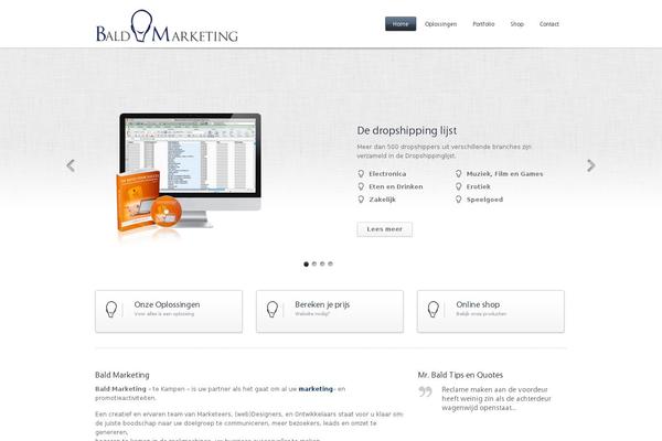 Cross Apple theme site design template sample