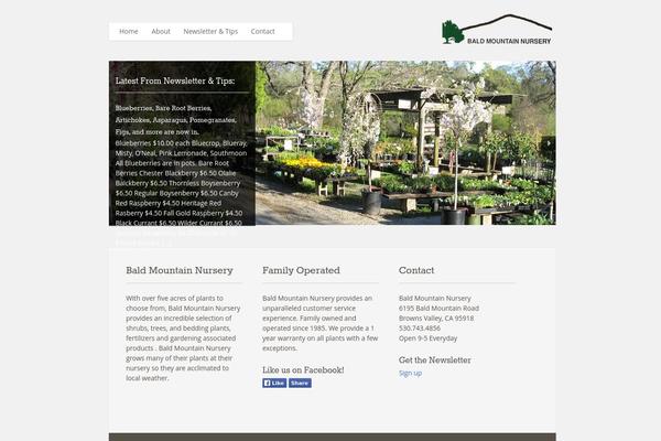 Eagle theme site design template sample