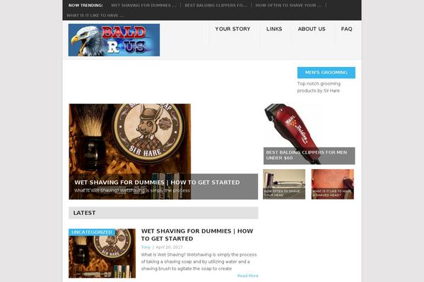 Point theme site design template sample