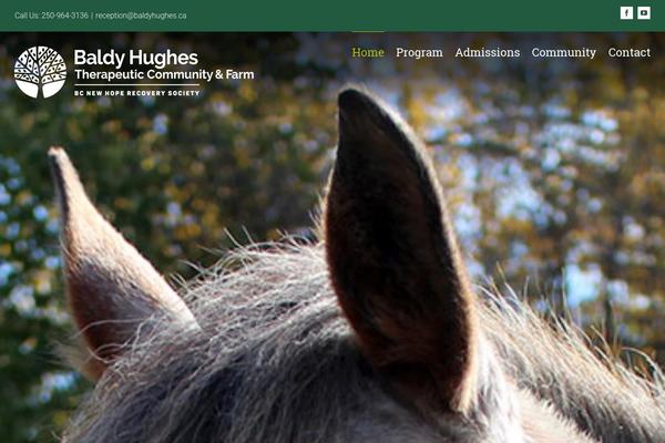 baldyhughes.ca site used Baldy