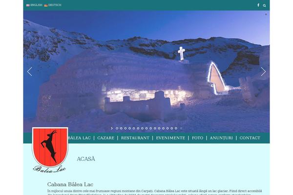 Site using Photoswipe Masonry Gallery plugin