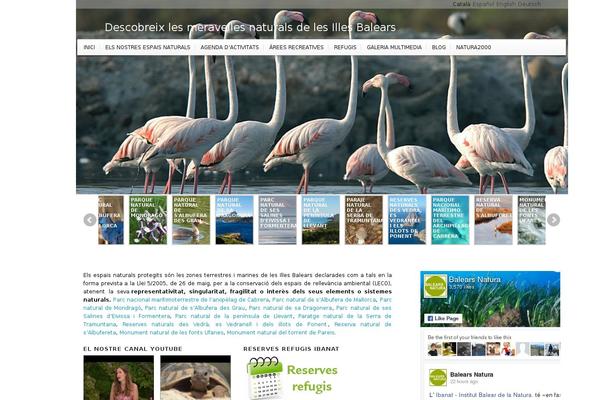 Enfold theme site design template sample