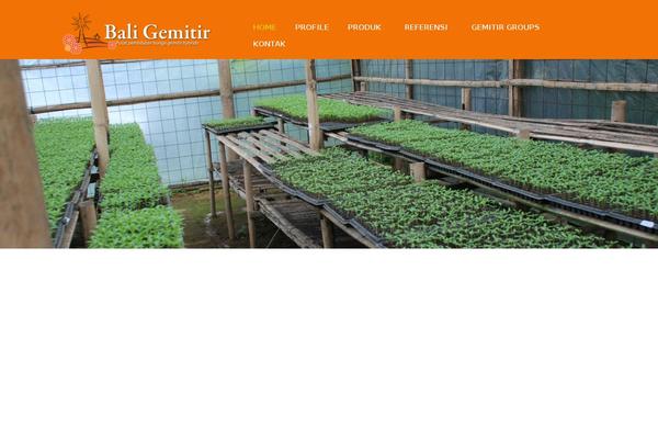 Virtue Premium theme site design template sample