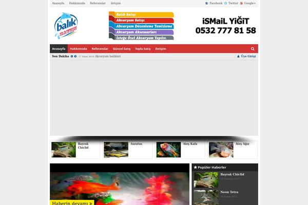 Tema theme site design template sample