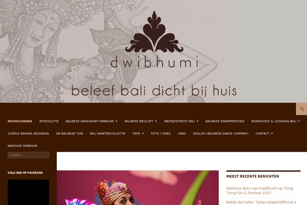 iPin Pro theme site design template sample