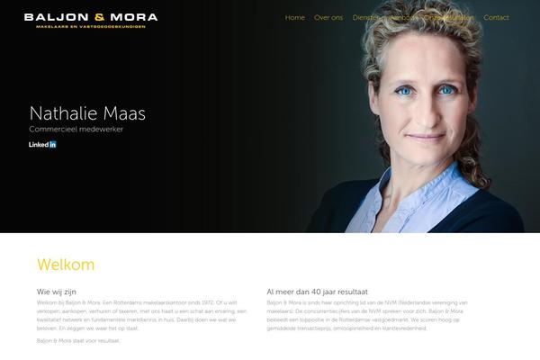 Bm theme site design template sample