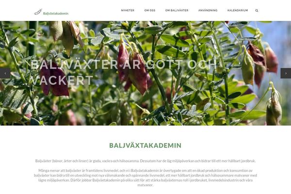 Stockholm theme site design template sample