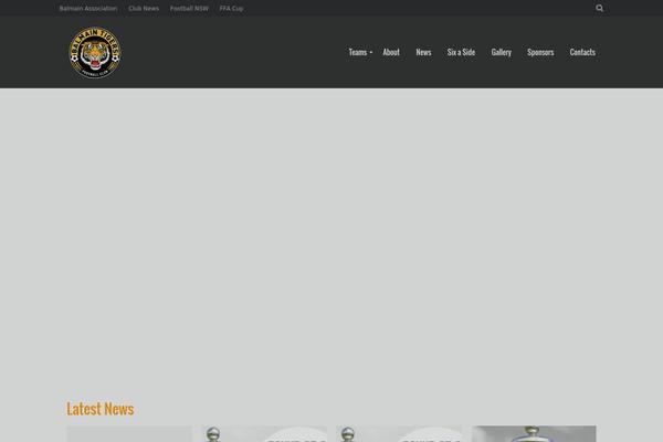 Champion theme site design template sample